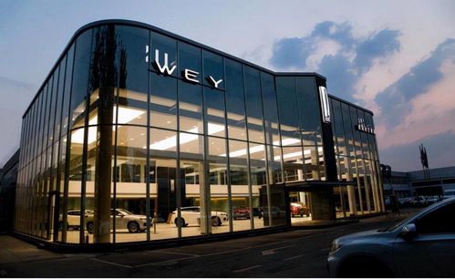 格局的力量 比亞迪無償轉讓“魏”商標，長城魏建軍深情感動